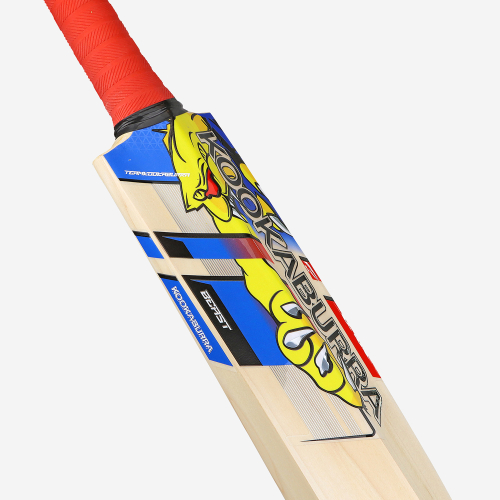 BEAST PRO 4.0 SENIOR CRICKET BAT