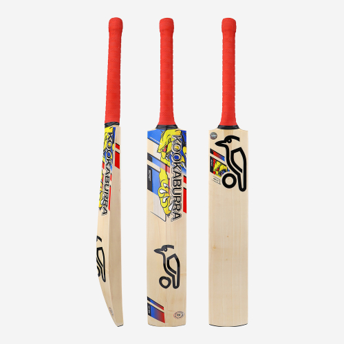 BEAST PRO 4.0 SENIOR CRICKET BAT