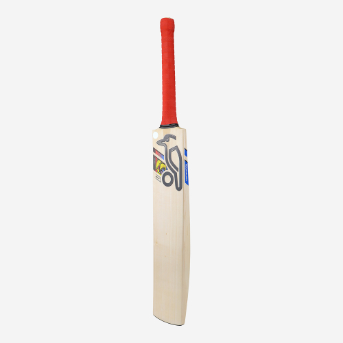 BEAST PRO 4.0 SENIOR CRICKET BAT