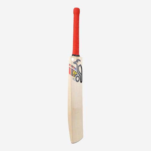 BEAST PRO 4.0 SENIOR CRICKET BAT