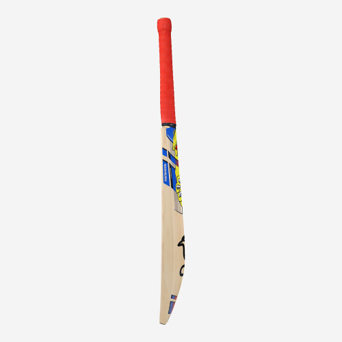 BEAST PRO 4.0 SENIOR CRICKET BAT