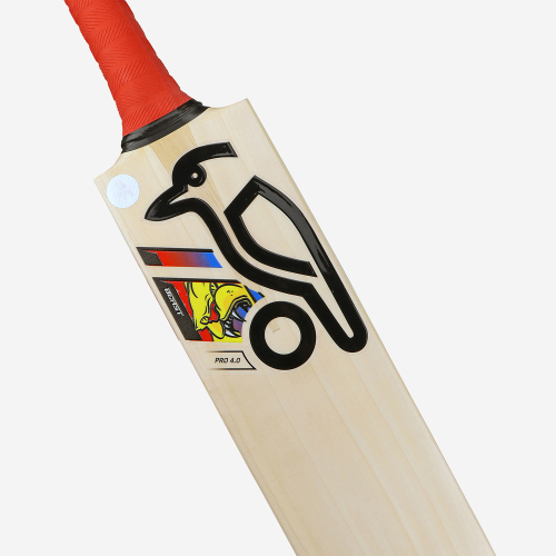 BEAST PRO 4.0 SENIOR CRICKET BAT