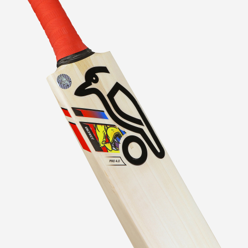 BEAST PRO 4.0 SENIOR CRICKET BAT