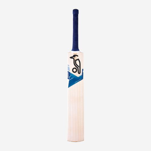 EMPOWER 9.0 JUNIOR CRICKET BAT