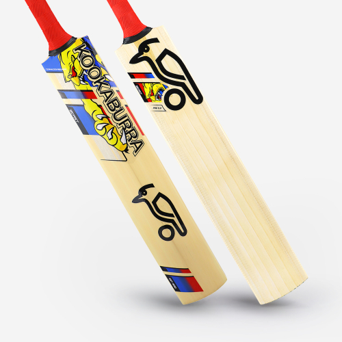 BEAST PRO 9.0 JUNIOR KASHMIR CRICKET BAT