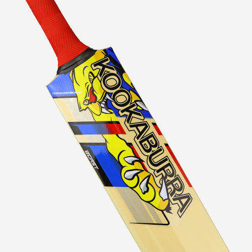 BEAST PRO 9.0 JUNIOR KASHMIR CRICKET BAT