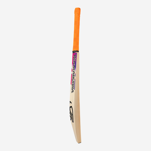 AURA PRO 8.0 KASHMIR JUNIOR CRICKET BAT