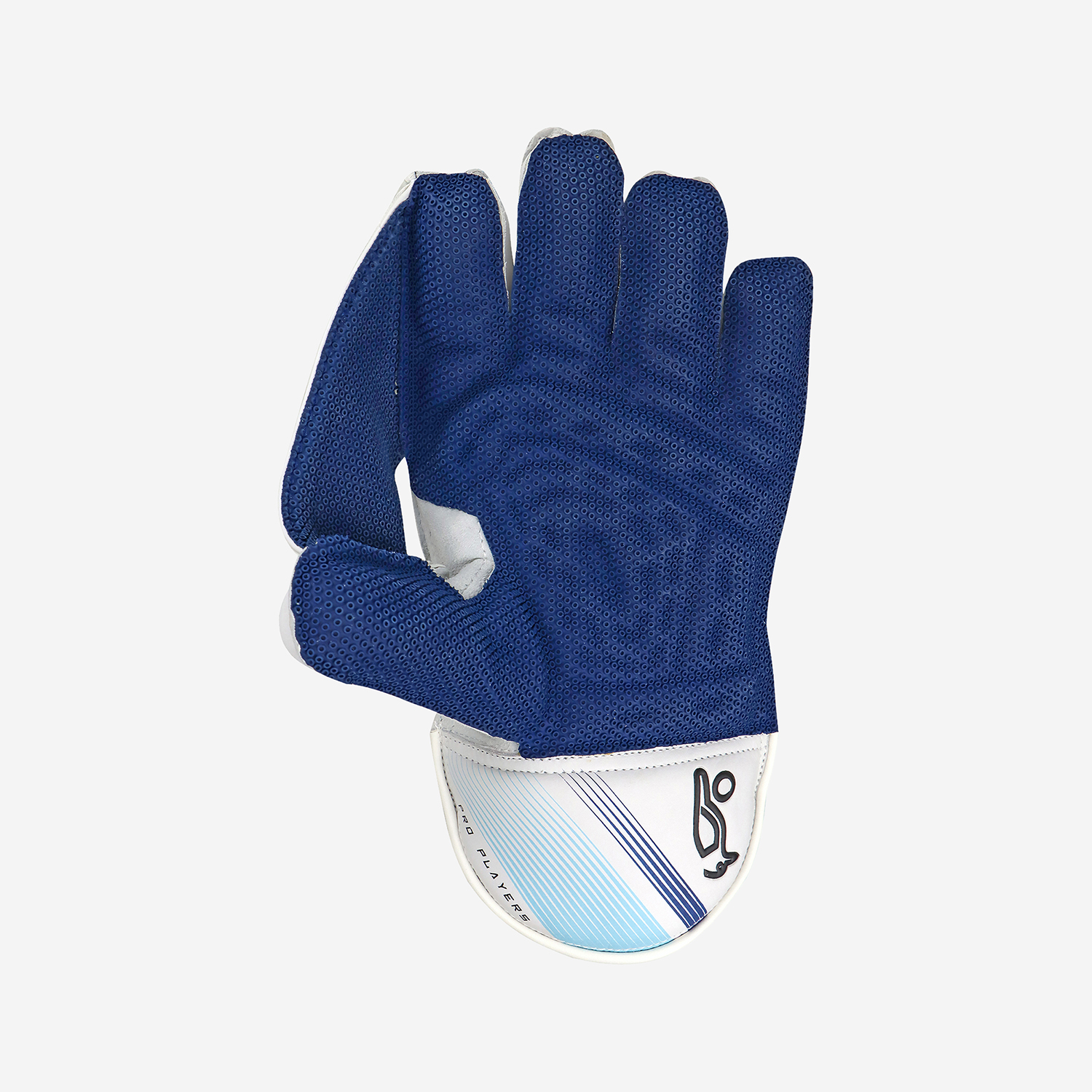 Pro Players Youth Wicket Keeping Gloves