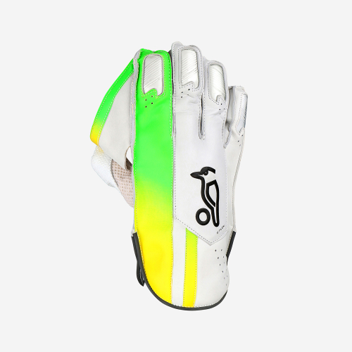 PRO PLAYERS WICKET KEEPING GLOVES