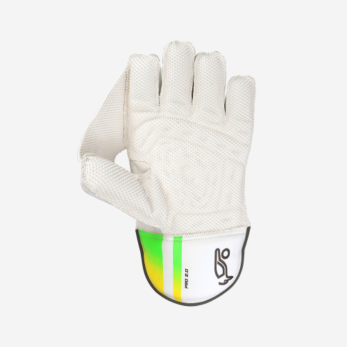 PRO 2.0 WICKET KEEPING GLOVES