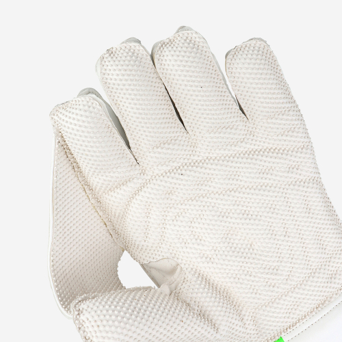 PRO 2.0 WICKET KEEPING GLOVES