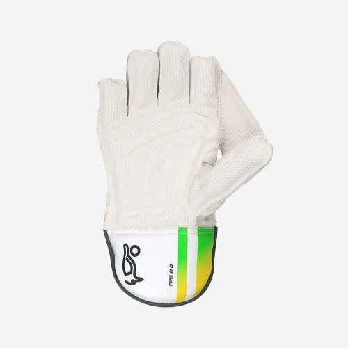 PRO 3.0 WICKET KEEPING GLOVES