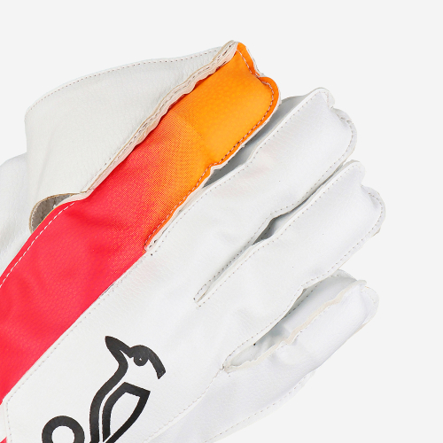 PRO 3.0 WICKET KEEPING GLOVES