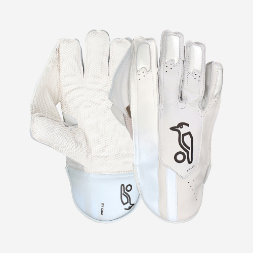 PRO 1.0 WICKET KEEPING GLOVES