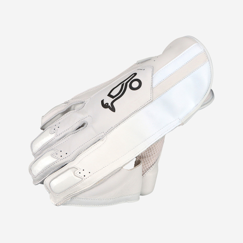 PRO 1.0 WICKET KEEPING GLOVES