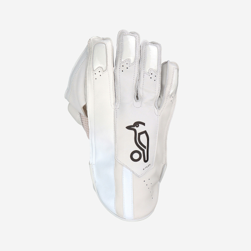 PRO 1.0 WICKET KEEPING GLOVES