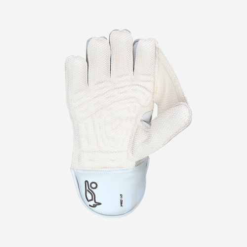 PRO 1.0 WICKET KEEPING GLOVES