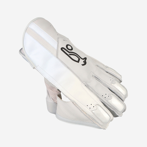 PRO 1.0 WICKET KEEPING GLOVES