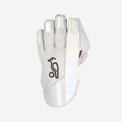 PRO 1.0 WICKET KEEPING GLOVES