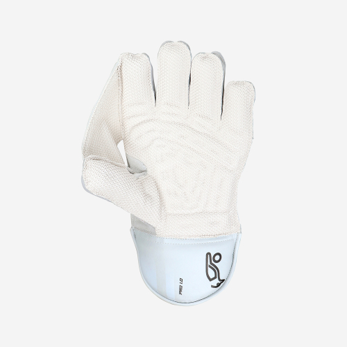 PRO 1.0 WICKET KEEPING GLOVES