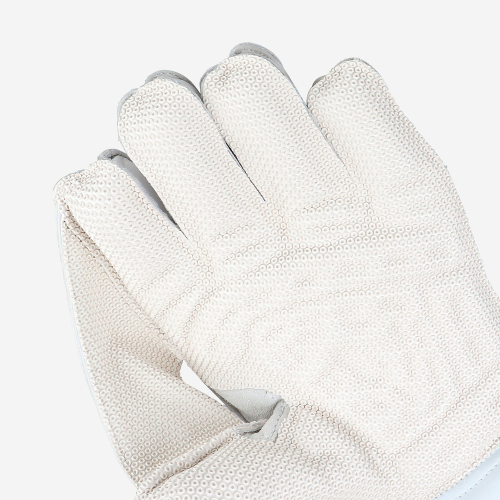 PRO 1.0 WICKET KEEPING GLOVES