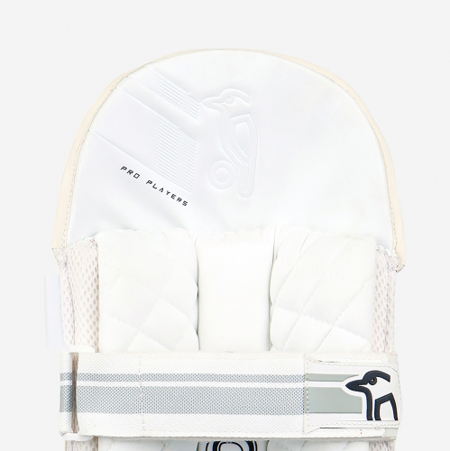 Pro Players Wicket Keeping Pads