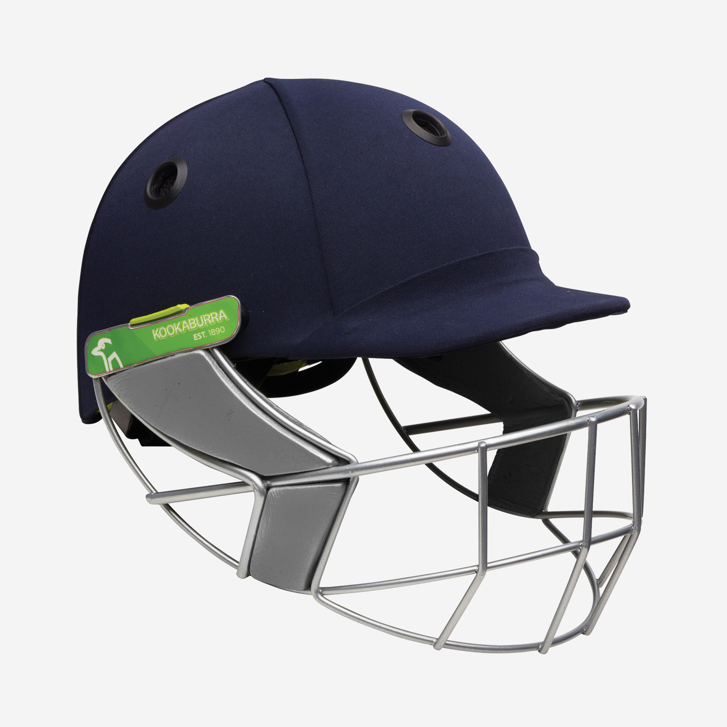 Pro 1200 Cricket Helmet