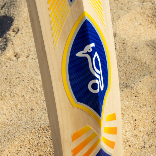 RETRO LITTLE BELTA CRICKET BAT