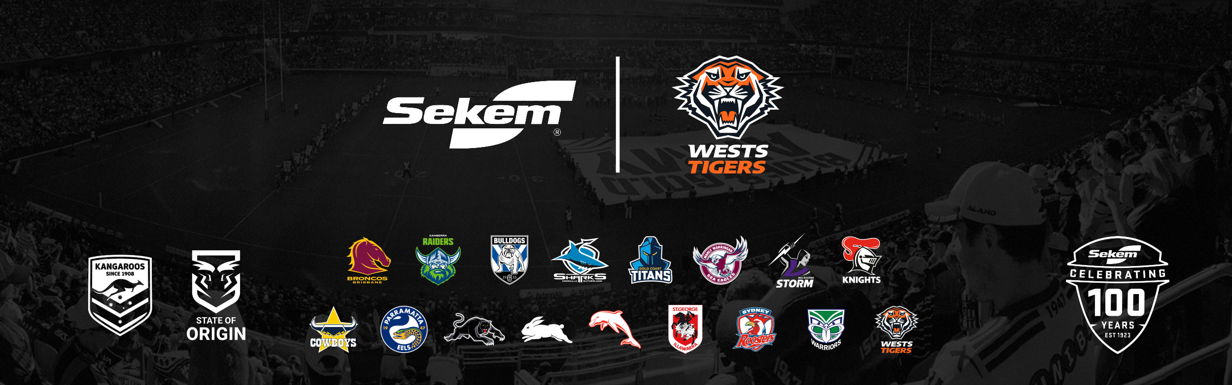 Balmain Tigers  Wests tigers, Sports logo design, Rugby league