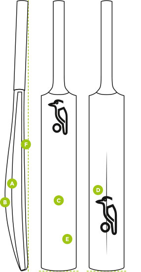 Bat Sizing - How To Choose Your Cricket Bat - Cricket