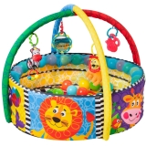 **PGRO BALL ACTIVITY NEST GYM